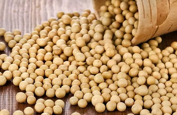 МСХ США обновил мировые рекорды производства и запасов сои