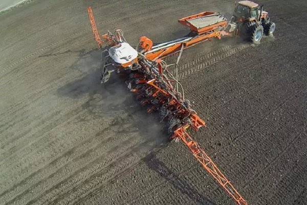 В Украине ранними зерновыми засеяно 1,6 млн га