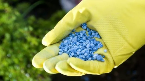 Импорт СЗР в 1 полугодии 2019 составил 66,5 тыс тонн