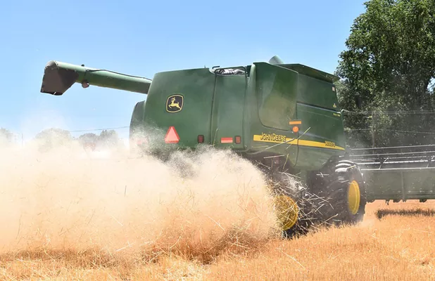 В Украине намолотили 23,5 млн т зерна