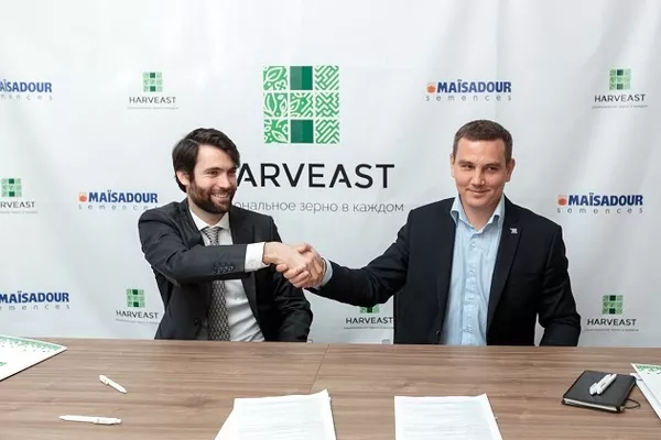 HarvEast и Maisadour начинают сотрудничество по выращиванию семян