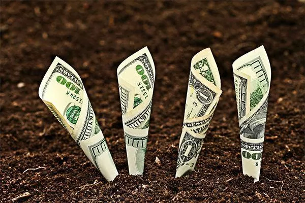 Потенциал производства зерновых в Украине оценивается в 116 млн т