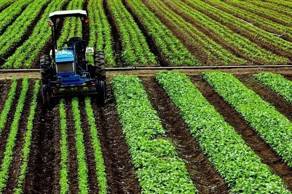 Мораторій на продаж землі скасують до кінця 2019 року