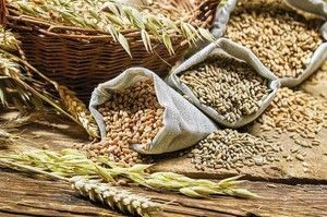 На Миколаївщині завершили збирання ранніх зернових