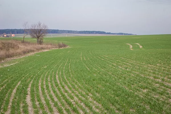 Агрейн завершит деятельность в Украине