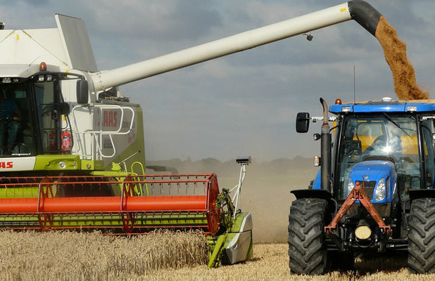 Аграрии намолотили почти 40 млн т зерна