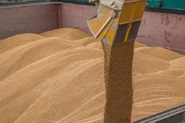 Названы крупнейшие экспортеры пшеницы за июль-март