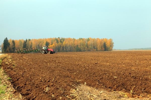 У НААН України заберуть понад 80% земель
