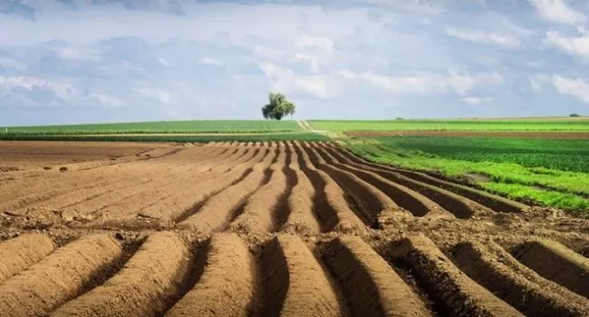 Плани уряду щодо земельної реформи і введення ринку землі