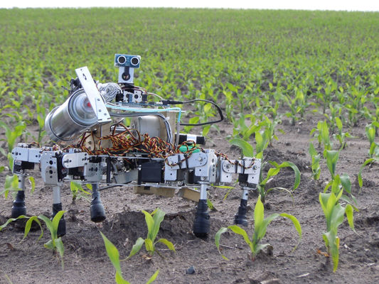 Ринок сільськогосподарських роботів поповнився пристроєм, який “вручну” видаляє бур’яни