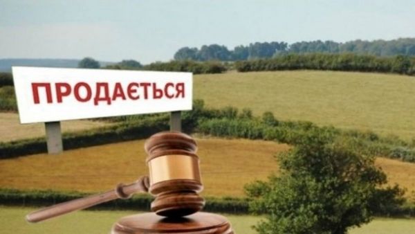 Агрохолдинги припинять допомагати громадам за умов відкритого ринку землі